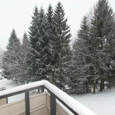 Mit Blick In Den Bayrischen Wald Oberhalb Von Sankt Engelmar * Sankt Englmar