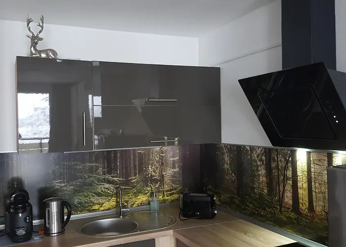 Mit Blick In Den Bayrischen Wald Oberhalb Von Sankt Engelmar Appartement *
