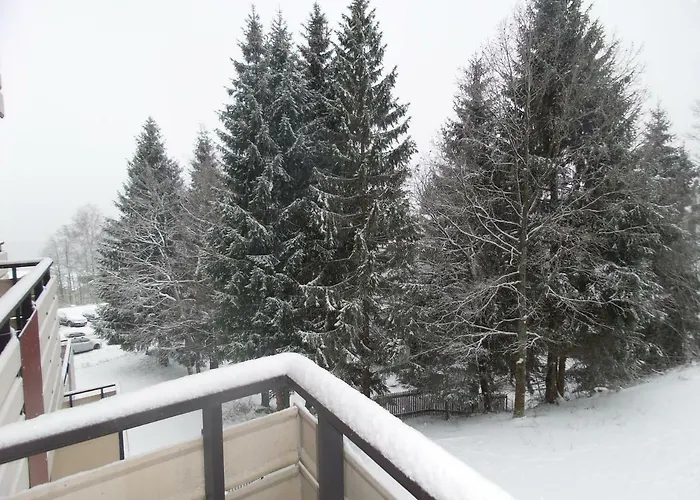 Mit Blick In Den Bayrischen Wald Oberhalb Von Sankt Engelmar * Sankt Englmar