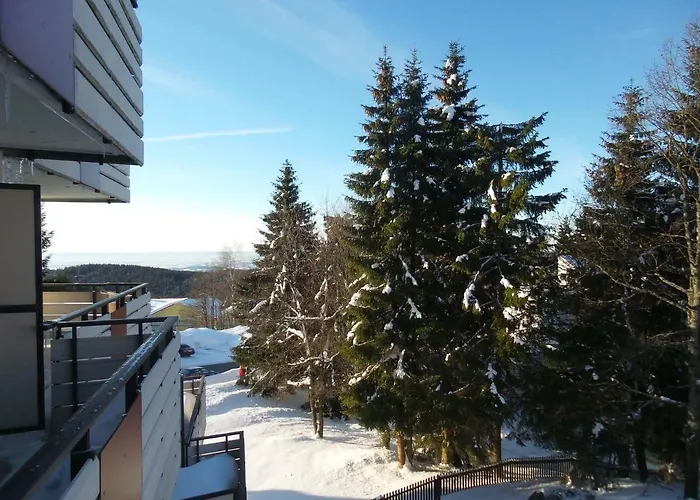 Mit Blick In Den Bayrischen Wald Oberhalb Von Sankt Engelmar Appartement