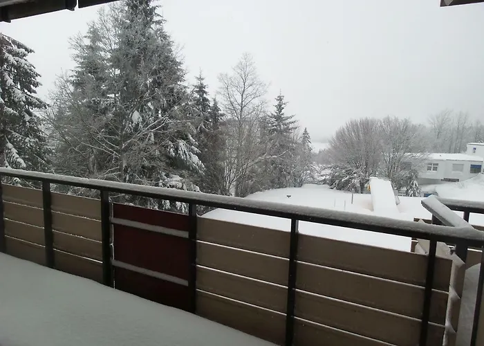 Mit Blick In Den Bayrischen Wald Oberhalb Von Sankt Engelmar Appartement Sankt Englmar