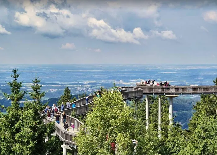 Mit Blick In Den Bayrischen Wald Oberhalb Von Sankt Engelmar