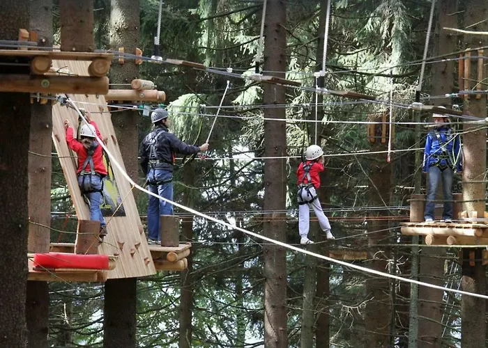 Mit Blick In Den Bayrischen Wald Oberhalb Von Sankt Engelmar Sankt Englmar
