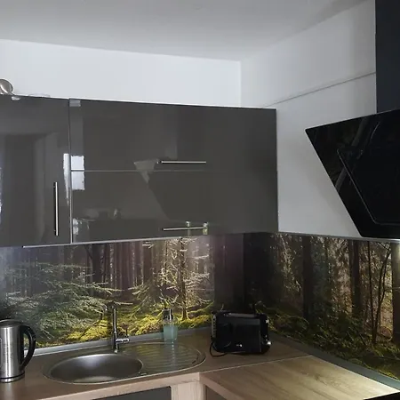 Mit Blick In Den Bayrischen Wald Oberhalb Von Sankt Engelmar דירה *
