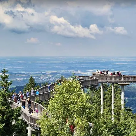 Mit Blick In Den Bayrischen Wald Oberhalb Von Sankt Engelmar