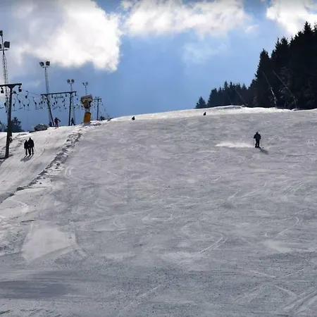 Mit Blick In Den Bayrischen Wald Oberhalb Von Sankt Engelmar *