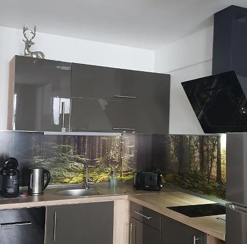 Mit Blick In Den Bayrischen Wald Oberhalb Von Sankt Engelmar * Sankt Englmar